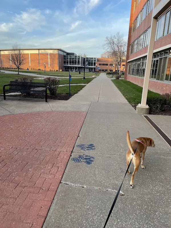 Saint Ambrose University campus photo 4
