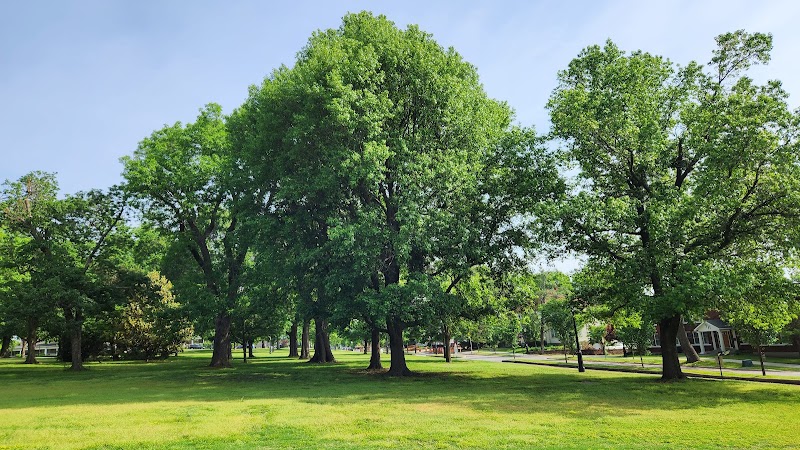 University of Arkansas campus photo 5