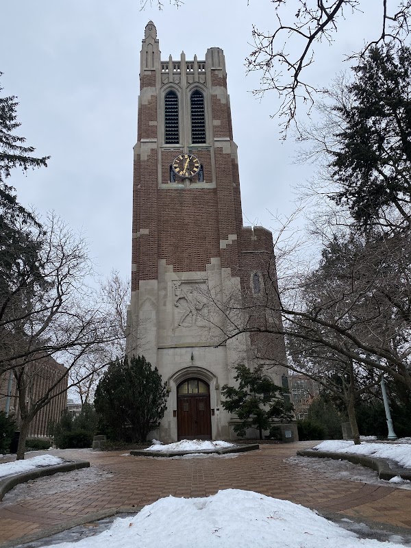 Michigan State University campus photo 2