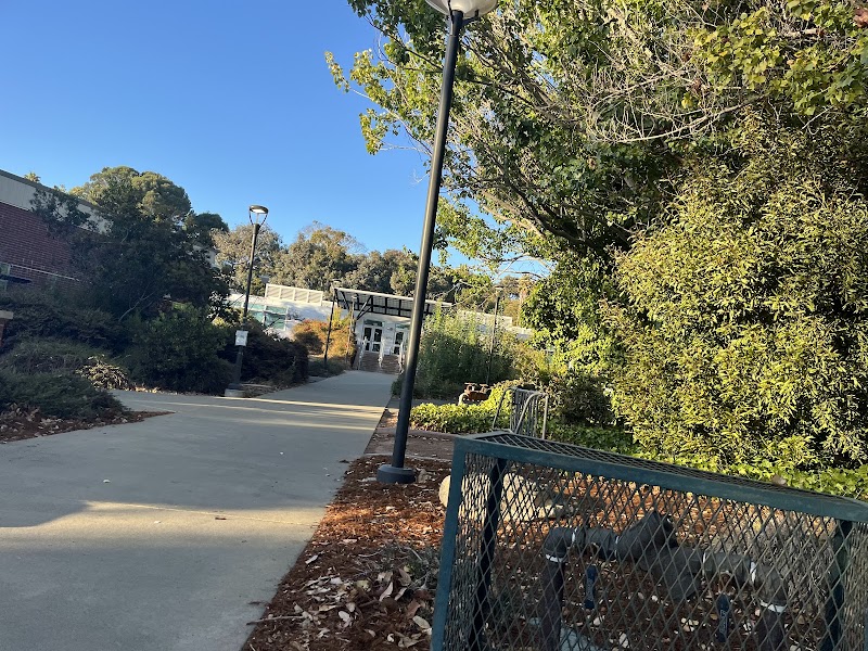 Contra Costa College campus photo 5
