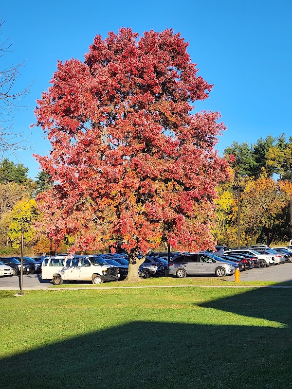 Ner Israel Rabbinical College campus photo 4