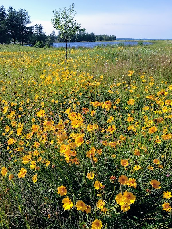 Keweenaw Bay Ojibwa Community College - Wabanung Campus campus photo 5
