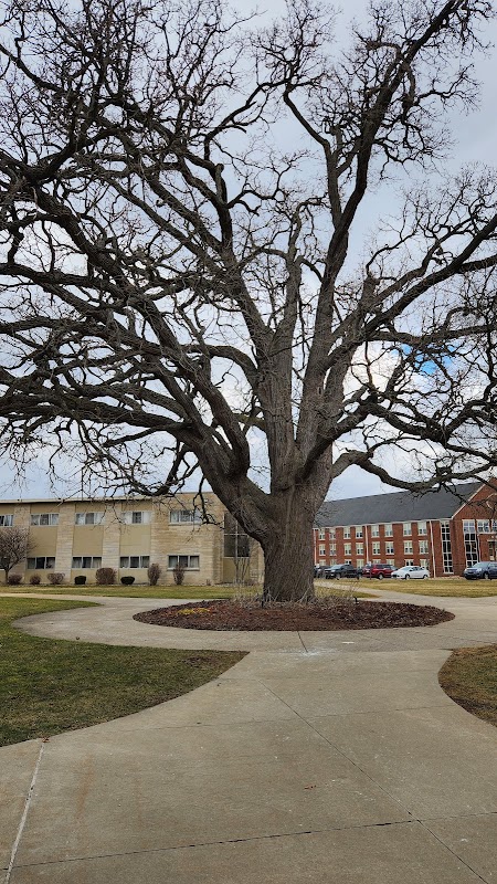 Spring Arbor University campus photo 4
