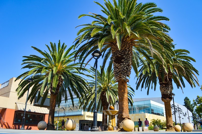 San Jose State University campus photo 2
