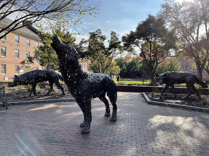 North Carolina State University at Raleigh campus photo 2