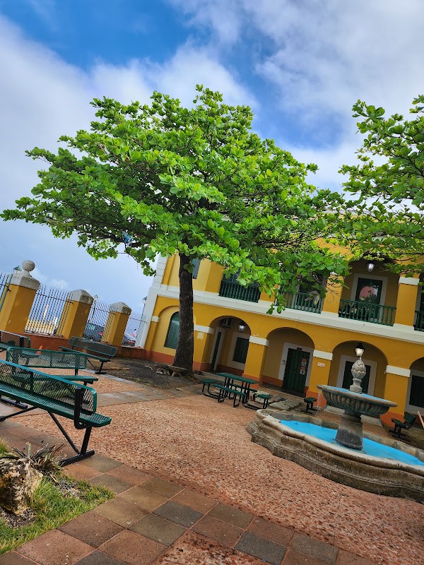 Escuela de Artes Plasticas y Diseno de Puerto Rico campus photo 4