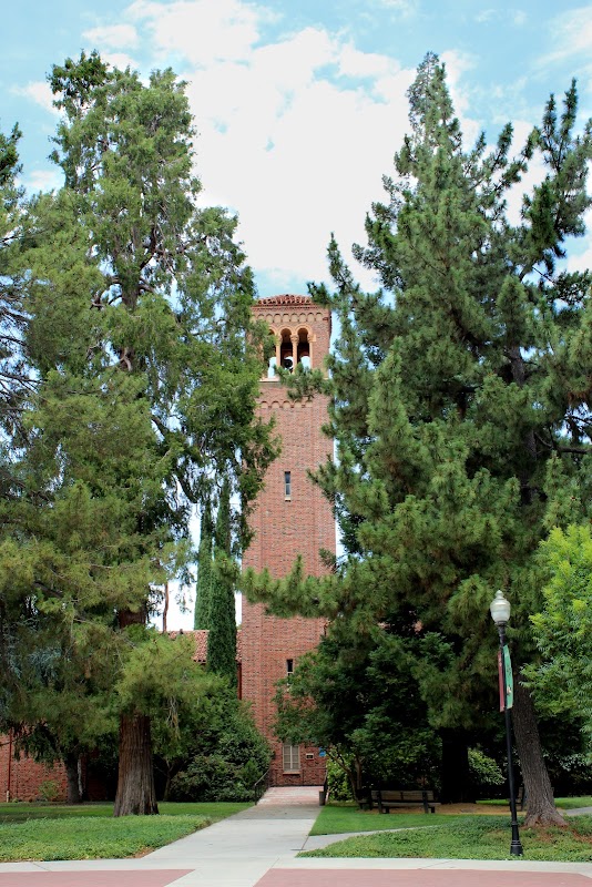 California State University-Chico campus photo 5