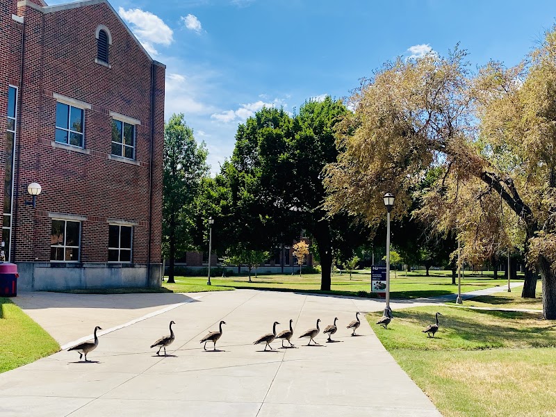 Newman University campus photo 2