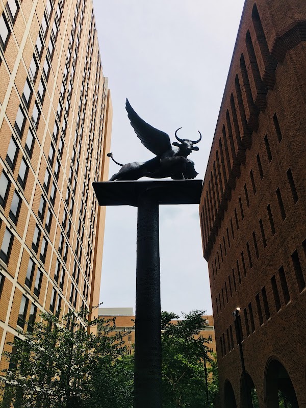 Thomas Jefferson University campus photo 3
