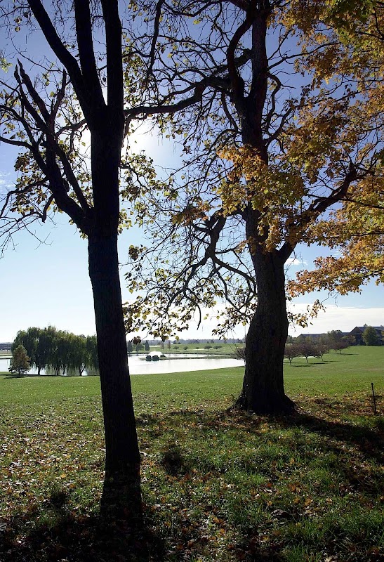 Owensboro Community and Technical College campus photo 5