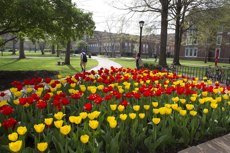 Pittsburg State University campus photo 4