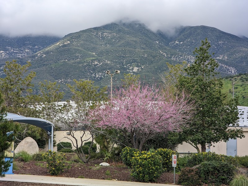 California State University-San Bernardino campus photo 2