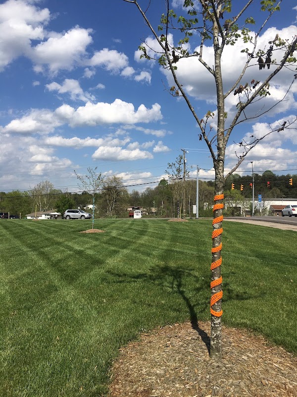 West Virginia University at Parkersburg campus photo 3