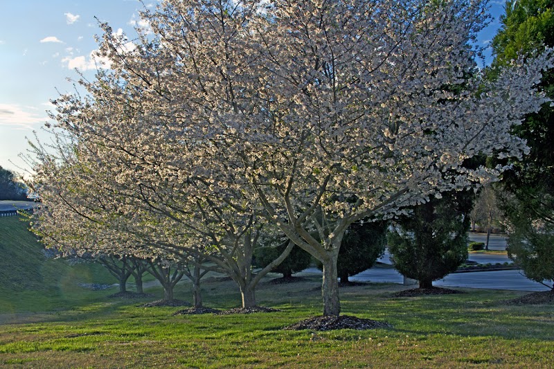 Tri-County Technical College campus photo 2