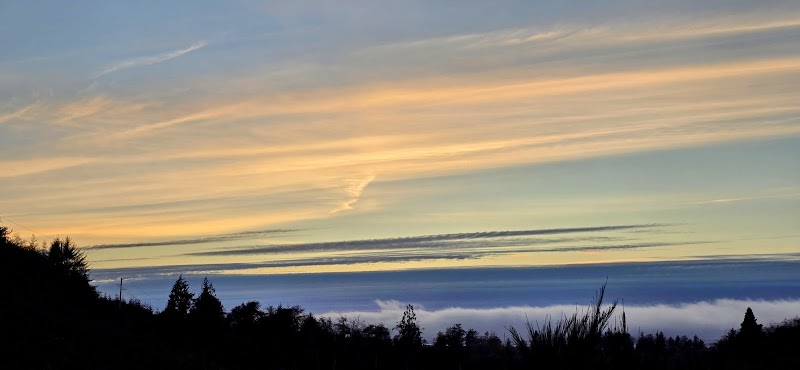 Grays Harbor College campus photo 4