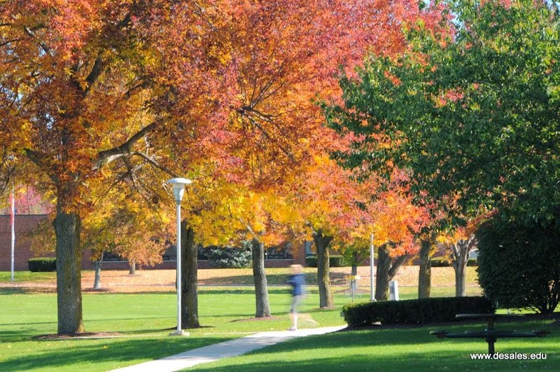 DeSales University campus photo 5