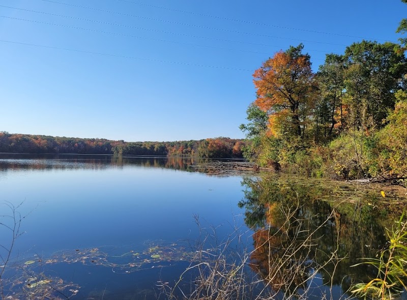 Saint Johns University campus photo 3