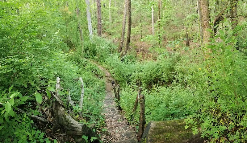 Warren Wilson College campus photo 3
