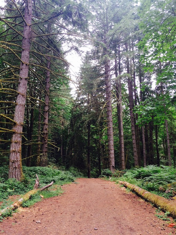 The Evergreen State College campus photo 3