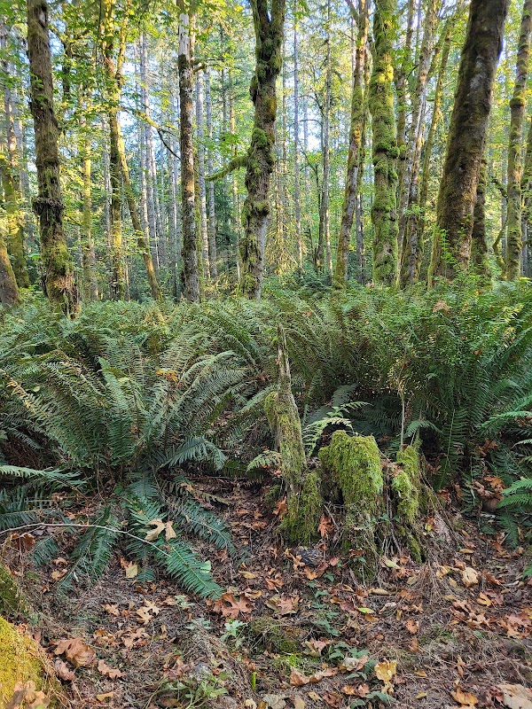 The Evergreen State College campus photo 5