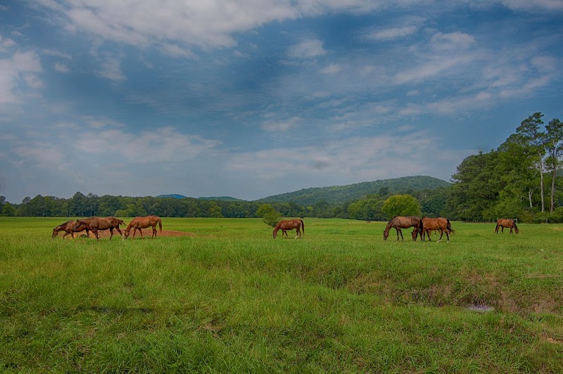 Berry College campus photo 4