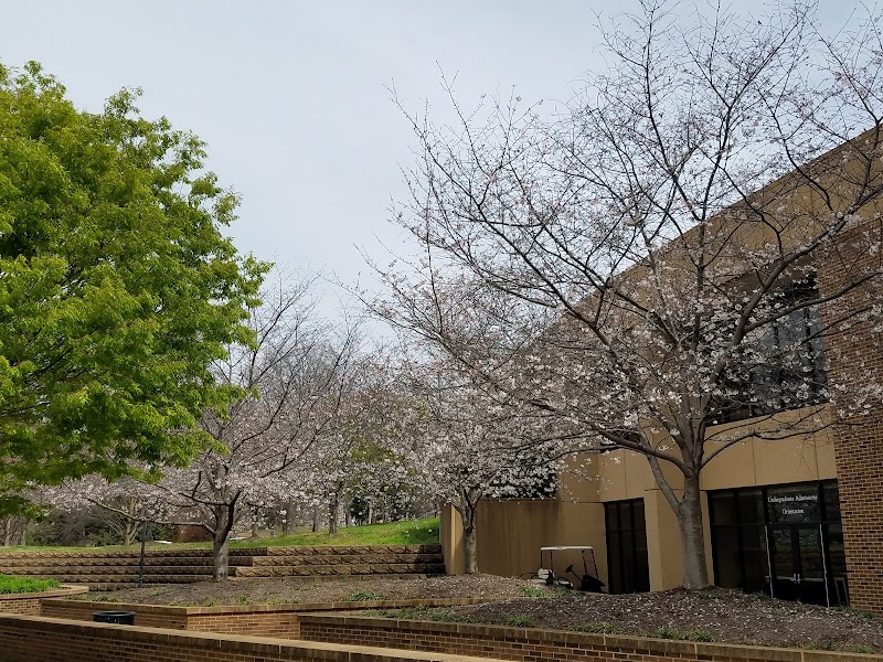 The University of Tennessee-Chattanooga campus photo 4