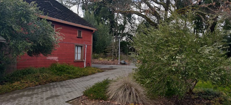 Mendocino College campus photo 4