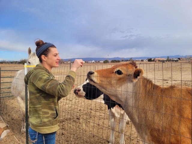 Colorado Academy of Veterinary Technology campus photo 3