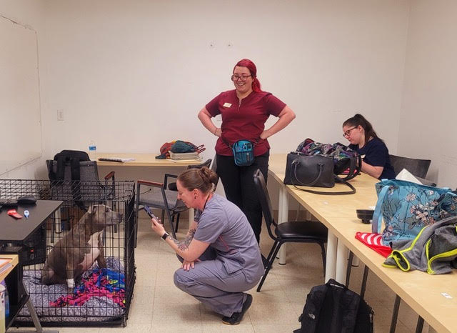 Colorado Academy of Veterinary Technology campus photo 4