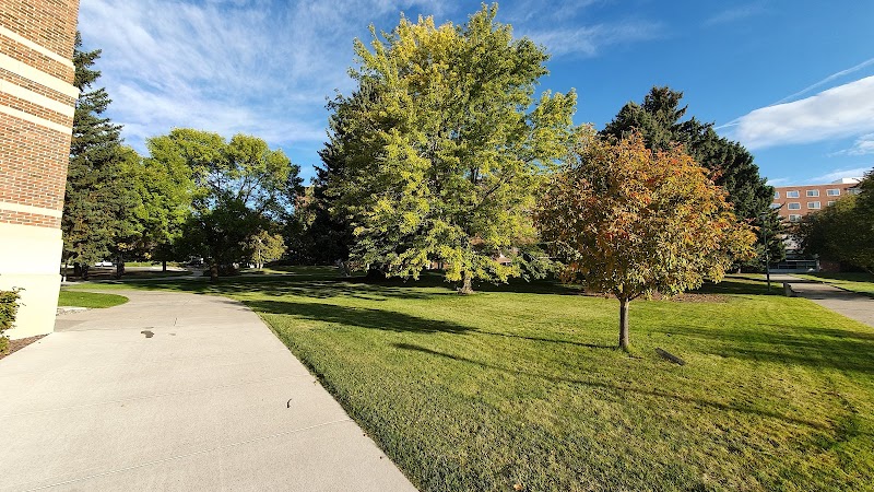 Montana State University Billings campus photo 3