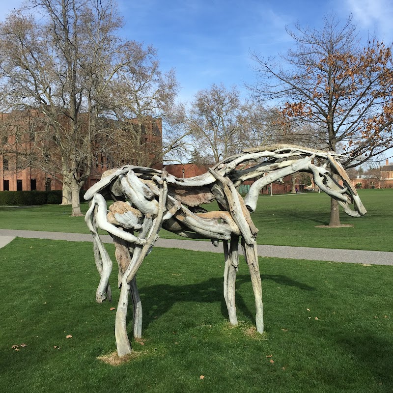 Whitman College campus photo 4