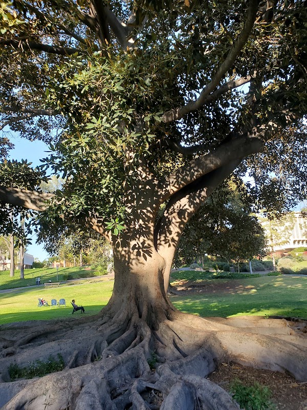 University of California-Irvine campus photo 4
