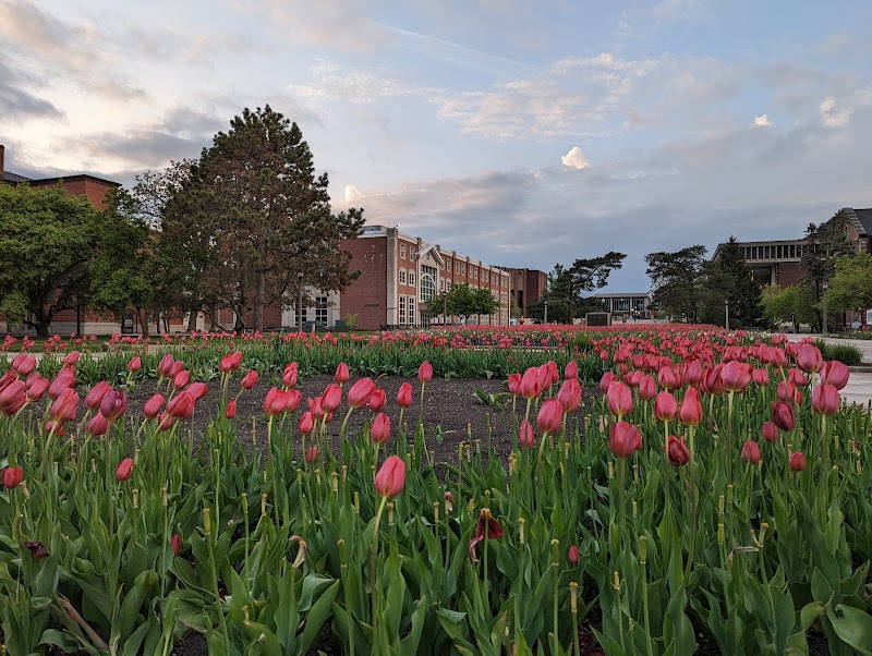 Illinois State University campus photo 5