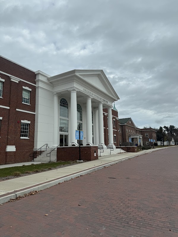 Long Island University campus photo 1