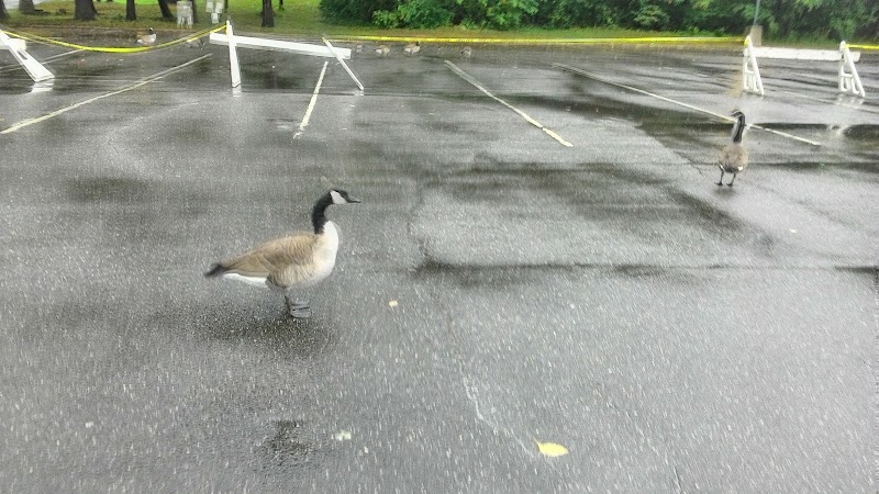 Long Island University campus photo 5
