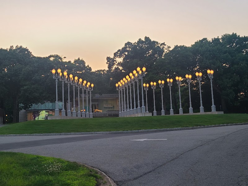 Brandeis University campus photo 5