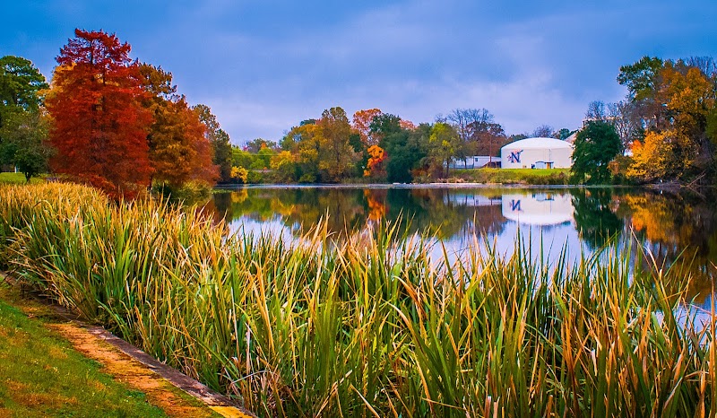 Northwestern State University of Louisiana campus photo 3