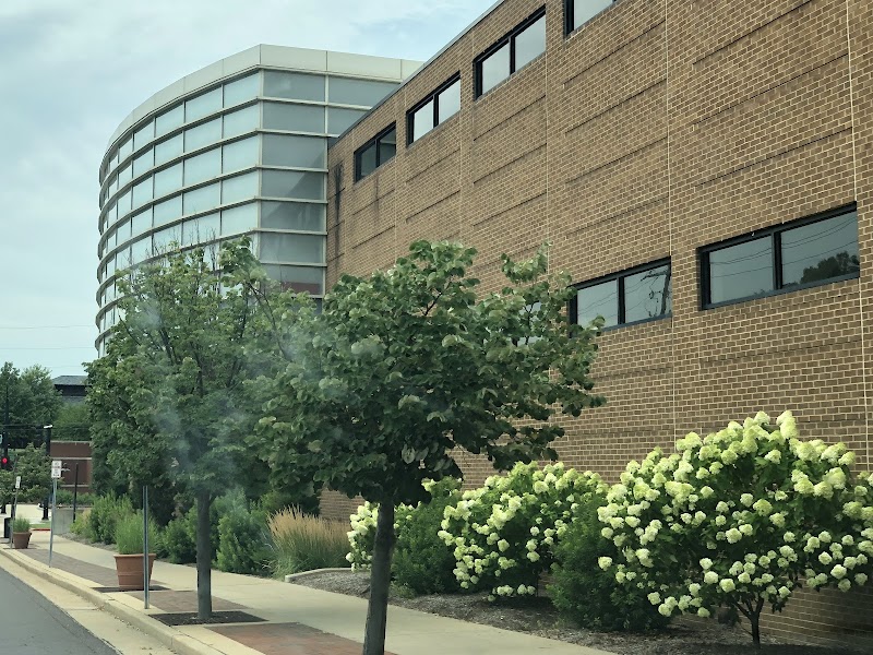 Webster University campus photo 5