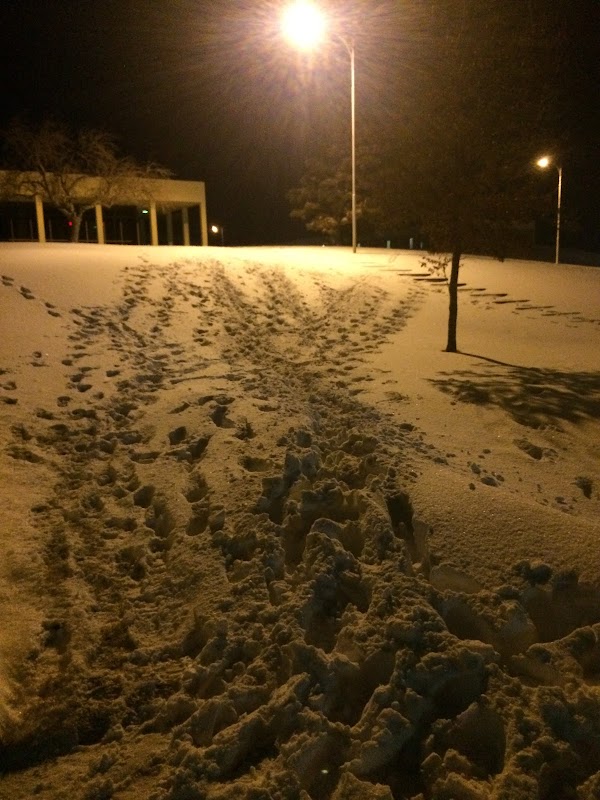 Clarendon College campus photo 5