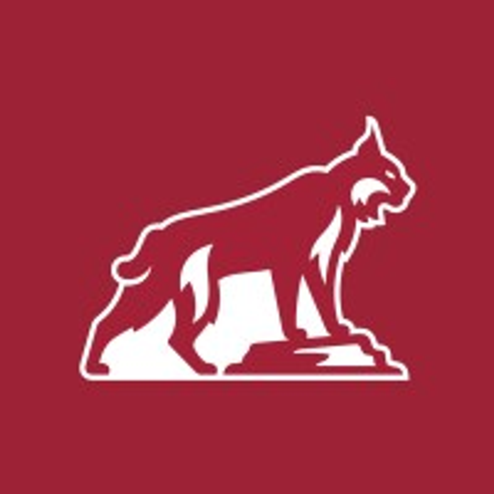 California State University-Chico logo