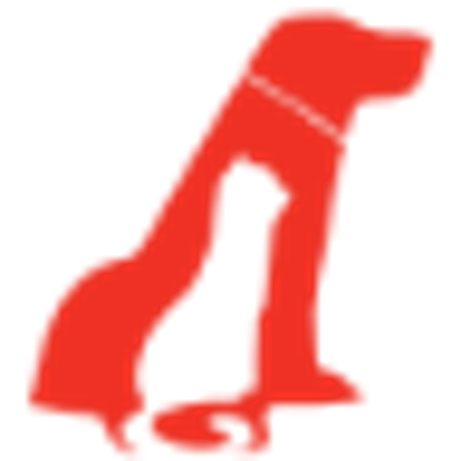 Vet Tech Institute of Houston logo